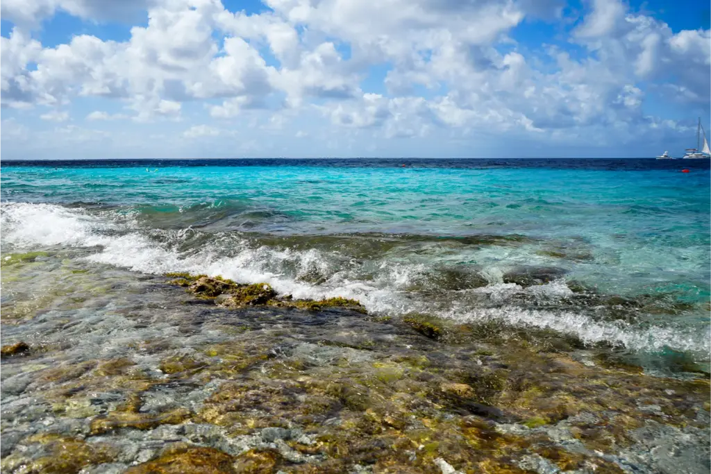 1000 steps op Bonaire strand