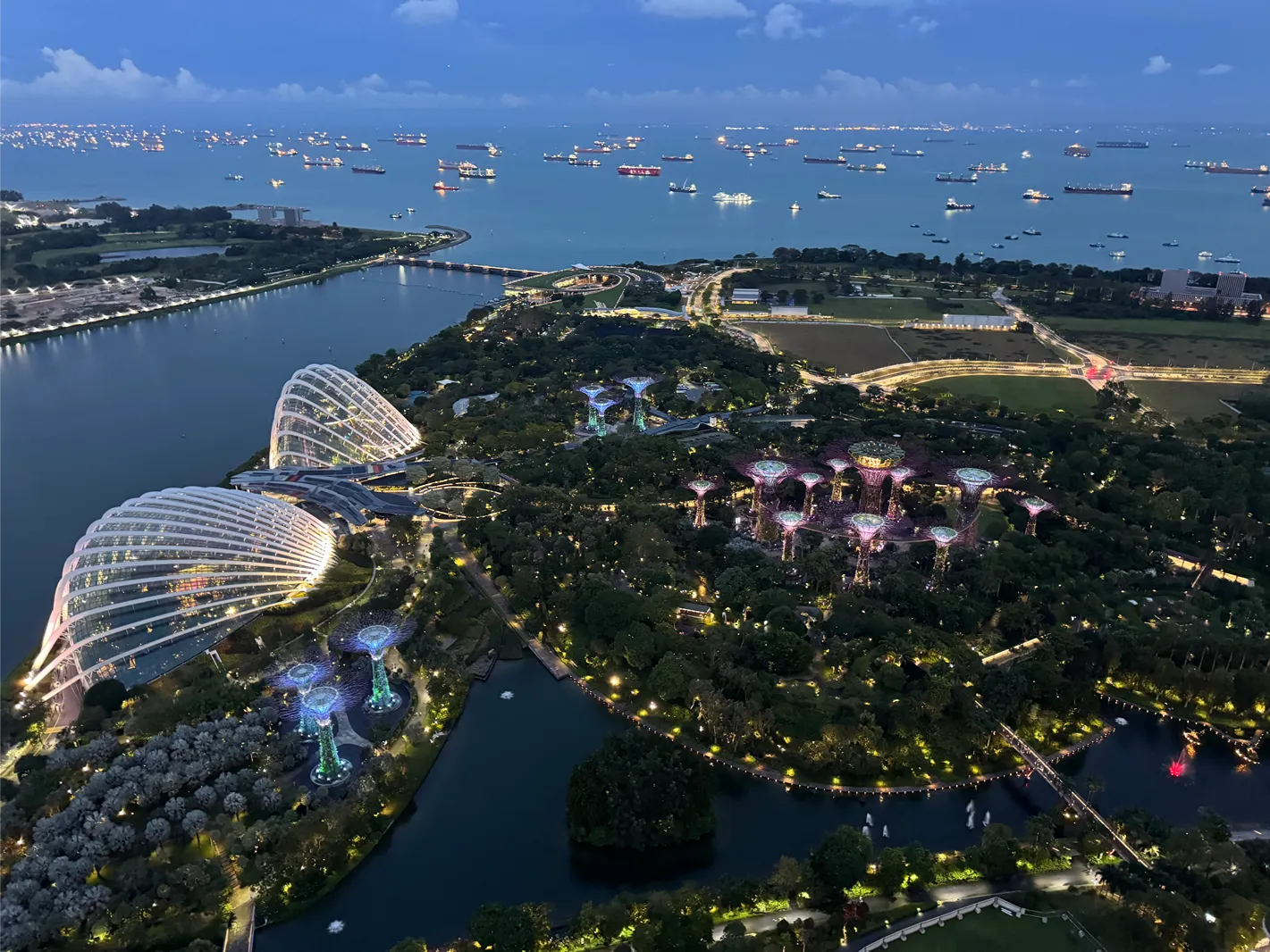 Uitzicht op Gardens by the bay in Singapore