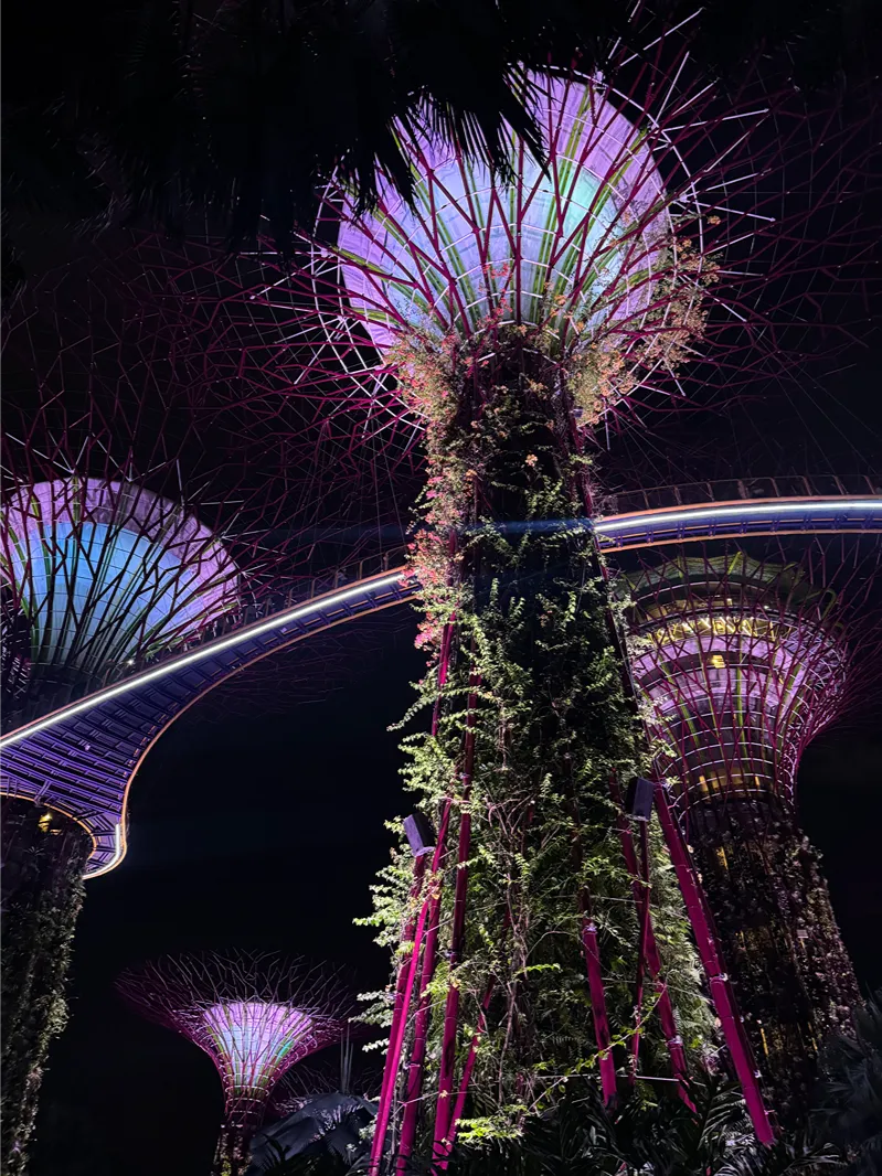 Singapore gardens by the bay